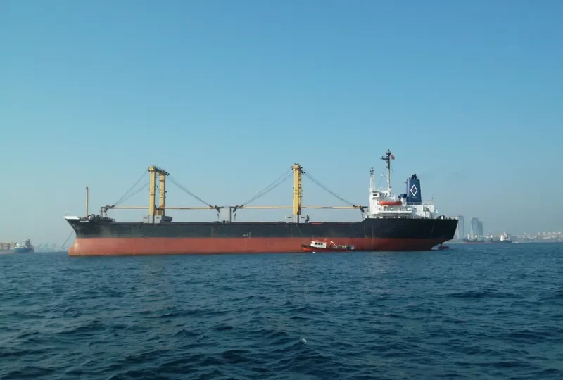 MEVLANA Bulk Carrier IMO 7610749 photo 7