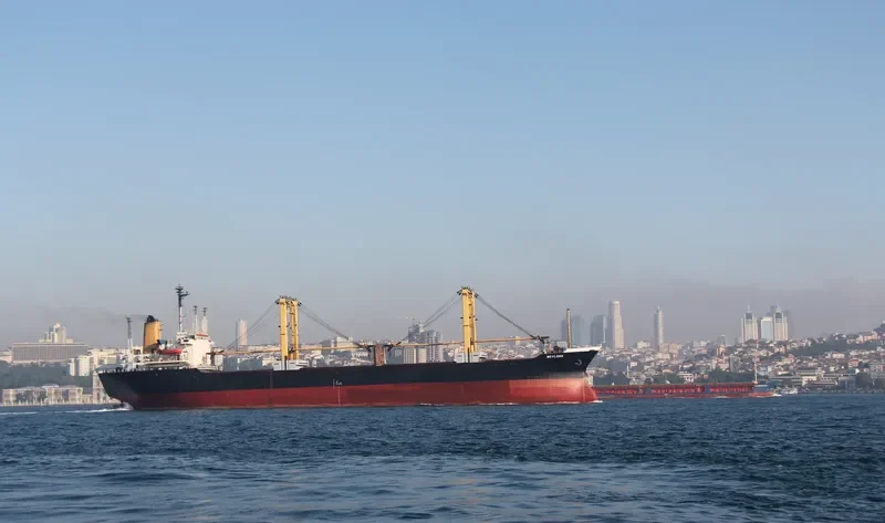 MEVLANA Bulk Carrier IMO 7610749 photo 10