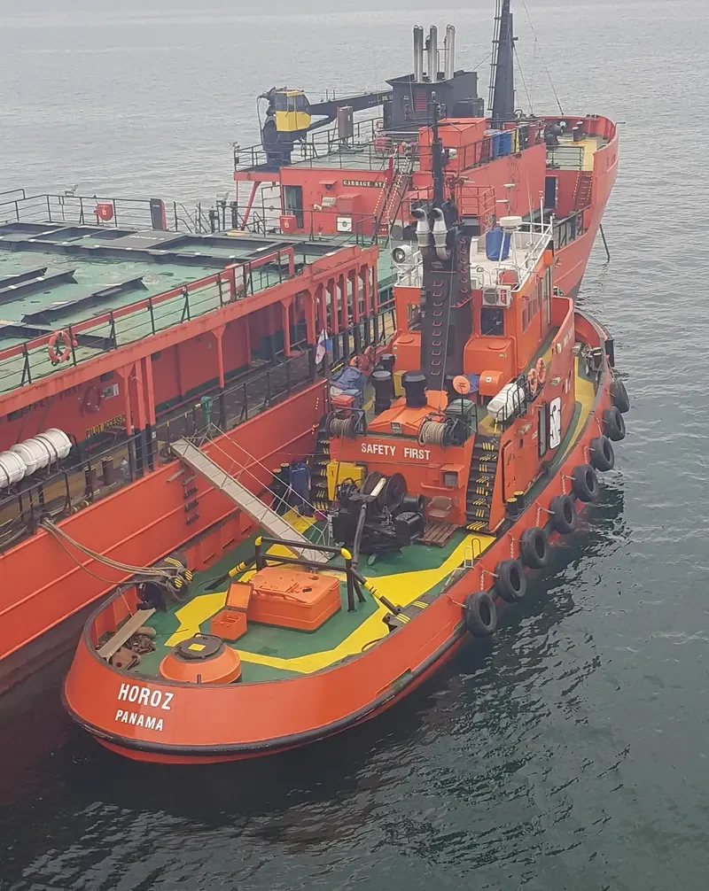 HOROZ General Cargo IMO 7610830