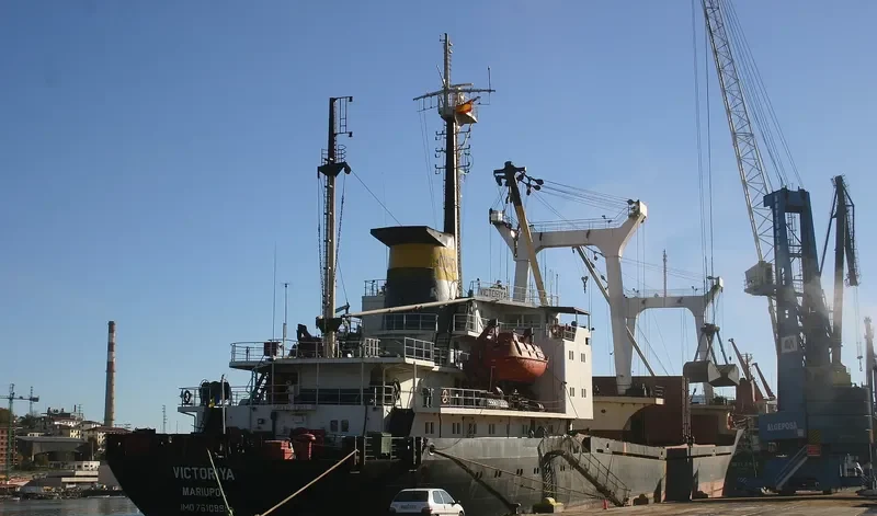 VLADIMIR OSIPTSOV General Cargo IMO 7610995 photo 2