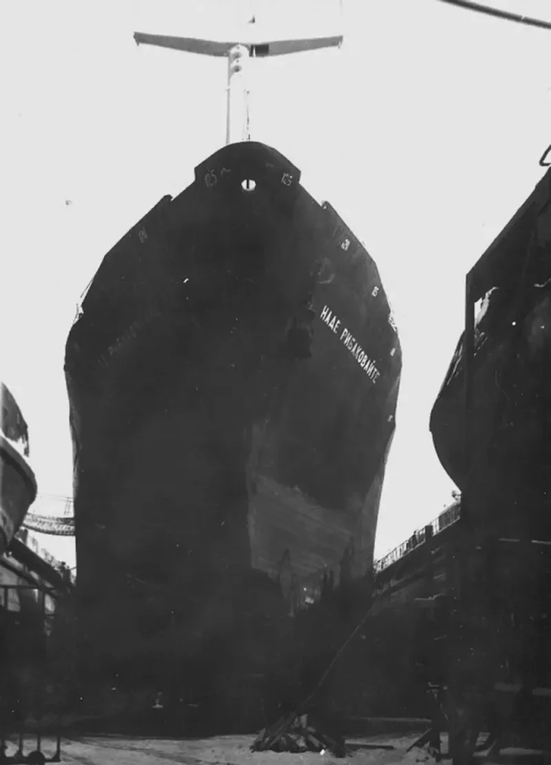 NADE RIBAKOVAYTE General Cargo IMO 7611341