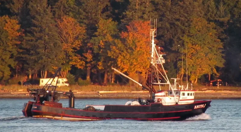ANITA J Fishing Vessel IMO 7611391 photo 2