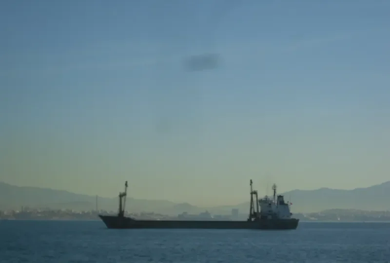 AZIZEH F General Cargo IMO 7611523 photo 8