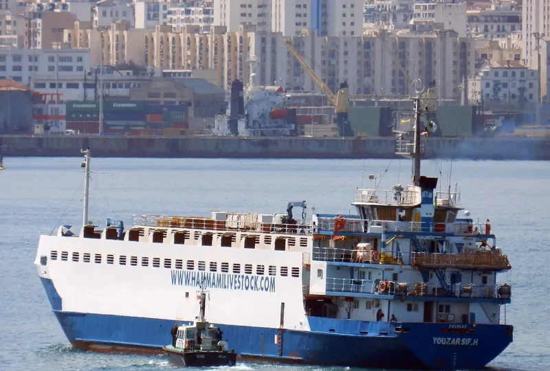 NADER A General Cargo IMO 7611547