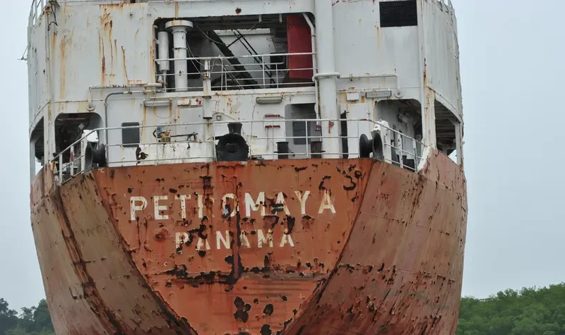 PETROMAYA General Cargo IMO 7611781 photo 2