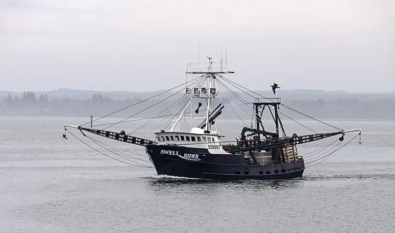 SWELL RIDER Fishing Vessel IMO 7612008 photo 3
