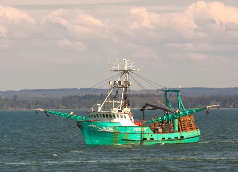 SWELL RIDER Fishing Vessel IMO 7612008 photo 4