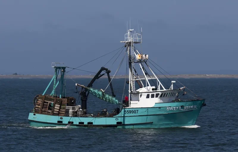 SWELL RIDER Fishing Vessel IMO 7612008 photo 7