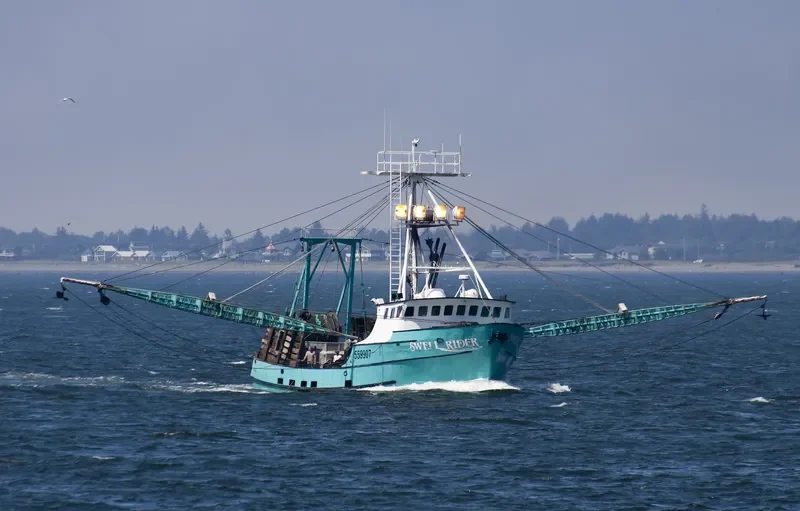 SWELL RIDER Fishing Vessel IMO 7612008 photo 8