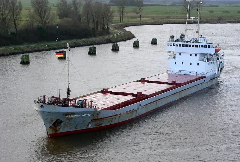 VASILIY MALOV General Cargo IMO 7612486 photo 8