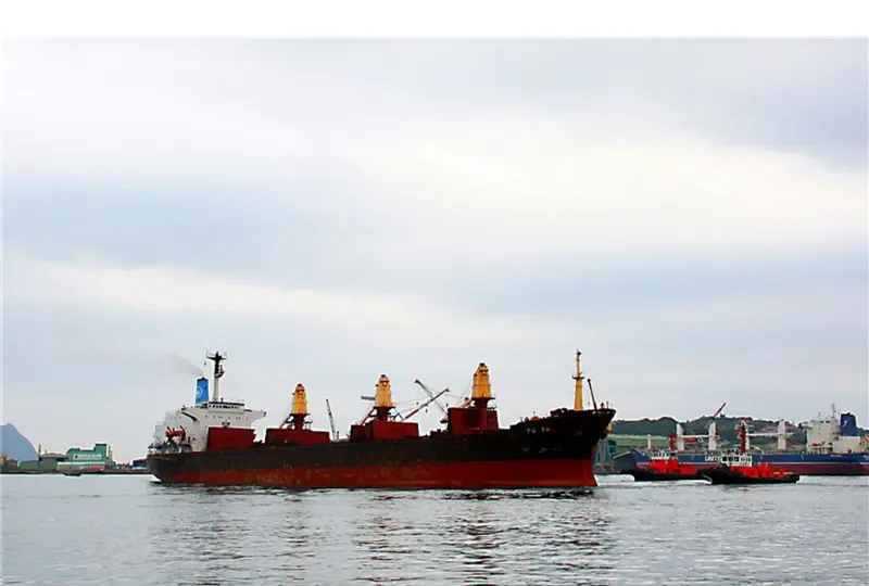 FU TAI Bulk Carrier IMO 7612797 photo 2