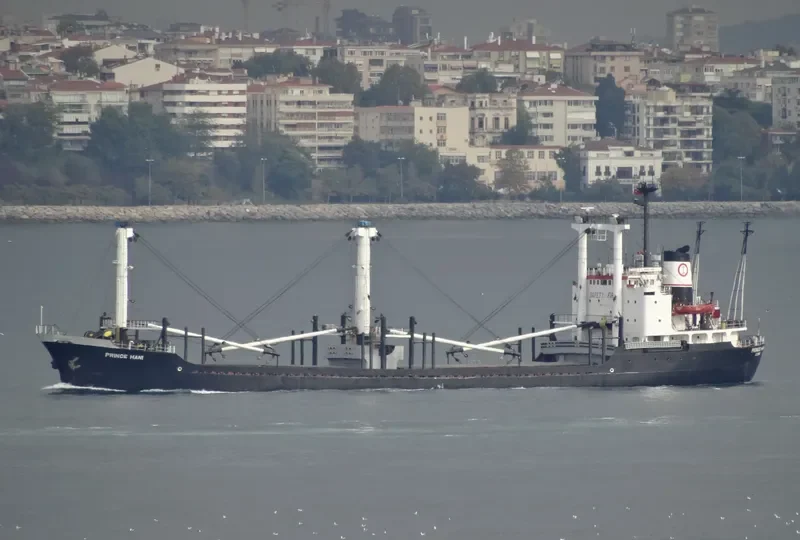 PRINCE HANI General Cargo IMO 7612838 photo 5