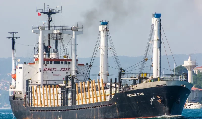 PRINCE HANI General Cargo IMO 7612838 photo 7