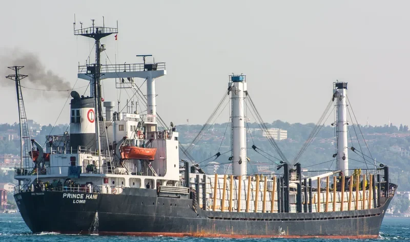 PRINCE HANI General Cargo IMO 7612838 photo 9
