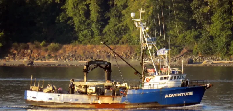 ADVENTURE Fishing Vessel IMO 7613698 photo 4
