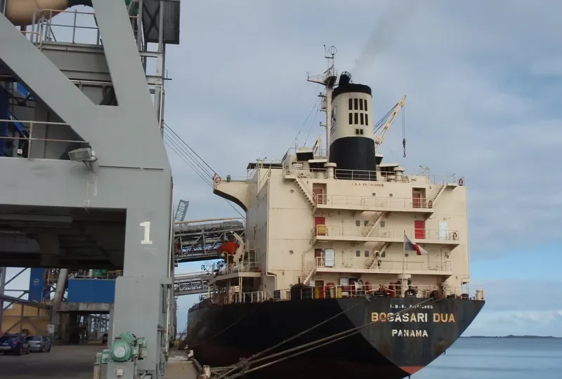 BOGASARI Bulk Carrier IMO 7613985