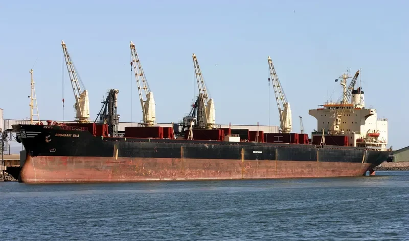 BOGASARI Bulk Carrier IMO 7613985 photo 4