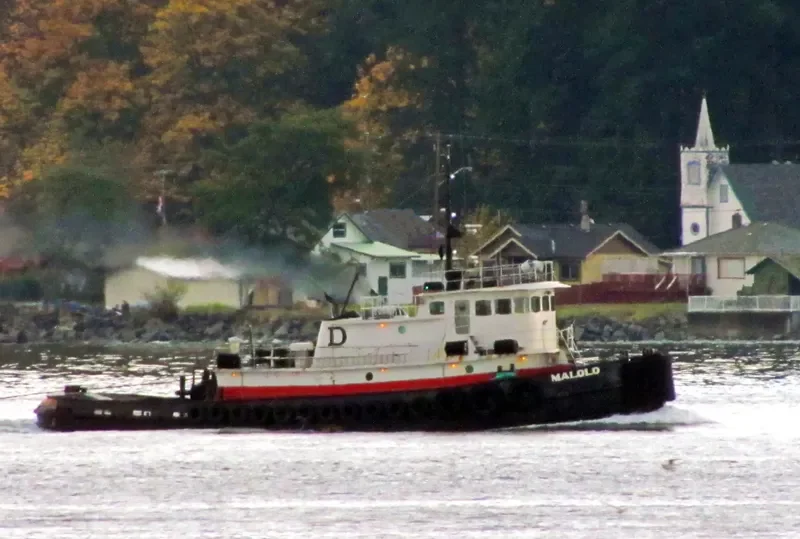 MALOLO General Cargo IMO 7614082 photo 3