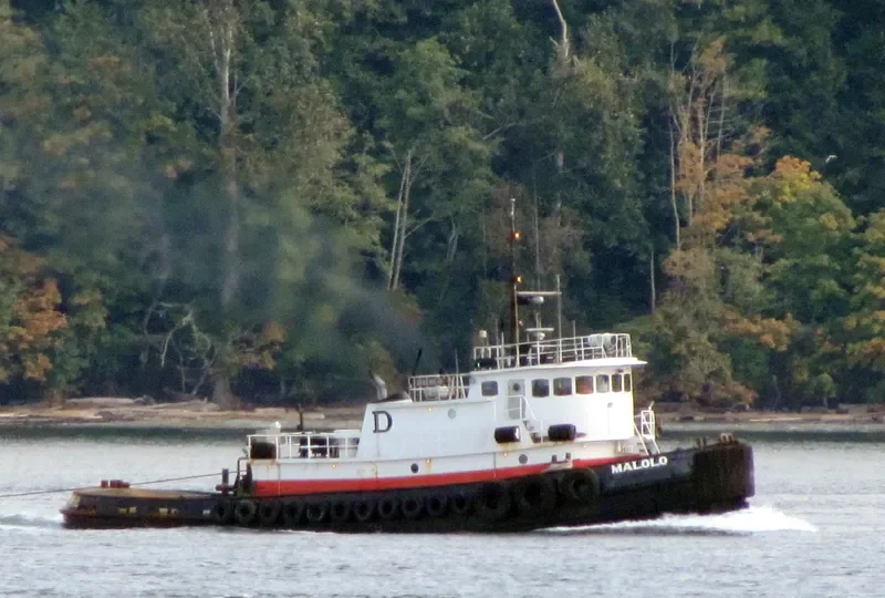 MALOLO General Cargo IMO 7614082 photo 5