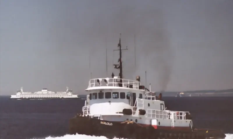 MALOLO General Cargo IMO 7614082 photo 7
