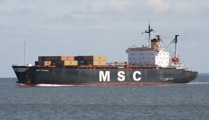 MSC ERMINIA Container Ship IMO 7614381