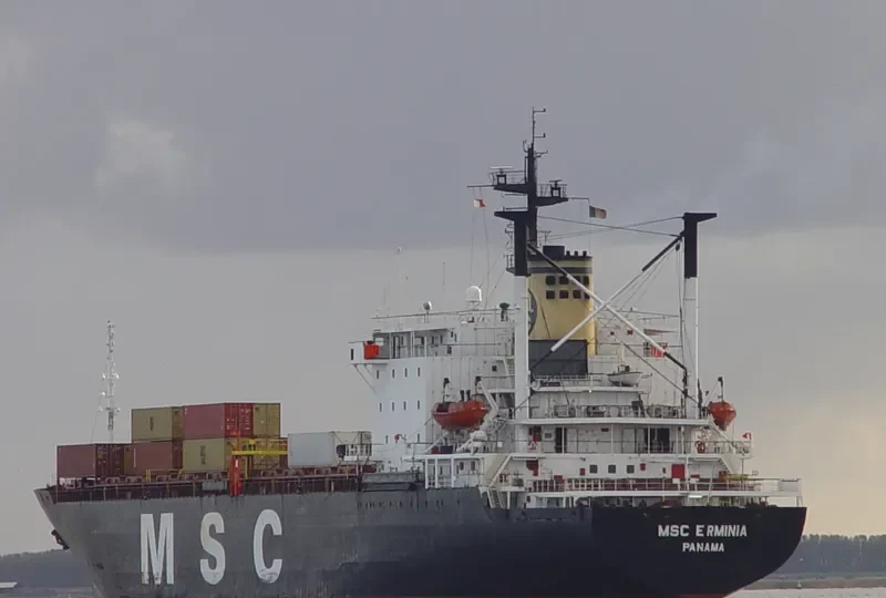 MSC ERMINIA Container Ship IMO 7614381 photo 9