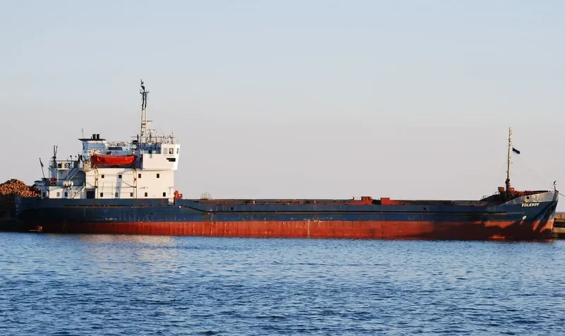VOLKHOV General Cargo IMO 7614616 photo 9