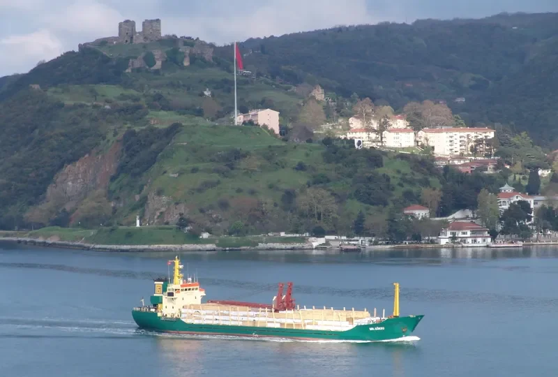 MR.GOKSU General Cargo IMO 7614692 photo 2