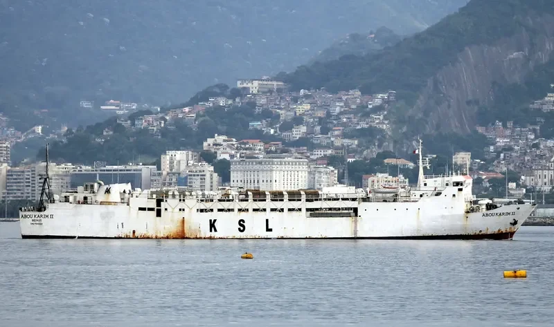 NELORE General Cargo IMO 7615309