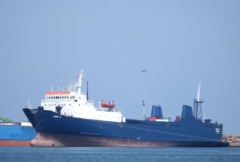 LION A Ro-Ro IMO 7615359 photo 3