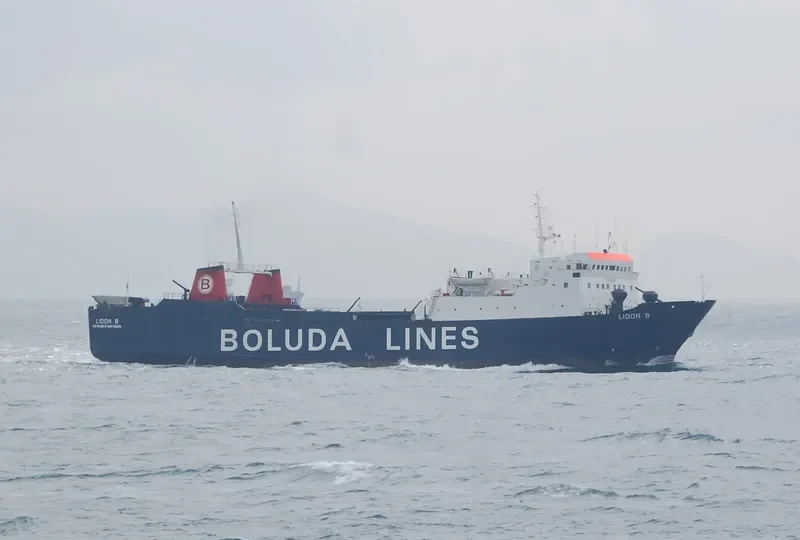 LION A Ro-Ro IMO 7615359 photo 10