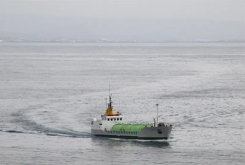 SKEIDFAXI General Cargo IMO 7615505 photo 4