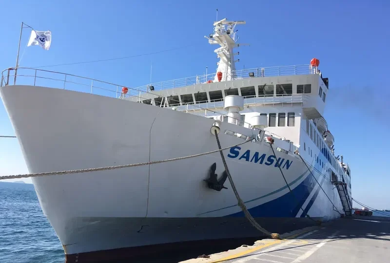 SAMSUN Ro-Ro IMO 7615684 photo 8