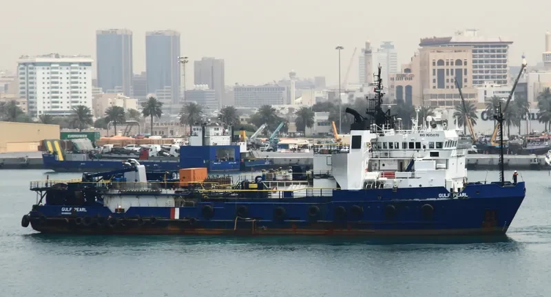 WSI GULF PEARL General Cargo IMO 7615878