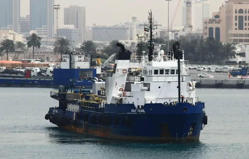 WSI GULF PEARL General Cargo IMO 7615878 photo 2