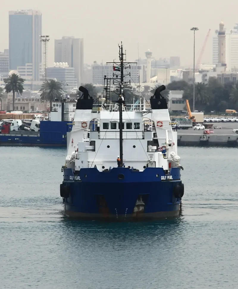 WSI GULF PEARL General Cargo IMO 7615878 photo 3