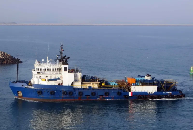 WSI GULF PEARL General Cargo IMO 7615878 photo 8