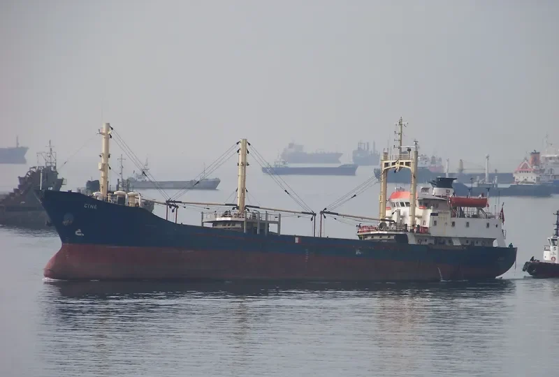 MELINNAZ General Cargo IMO 7615945 photo 5