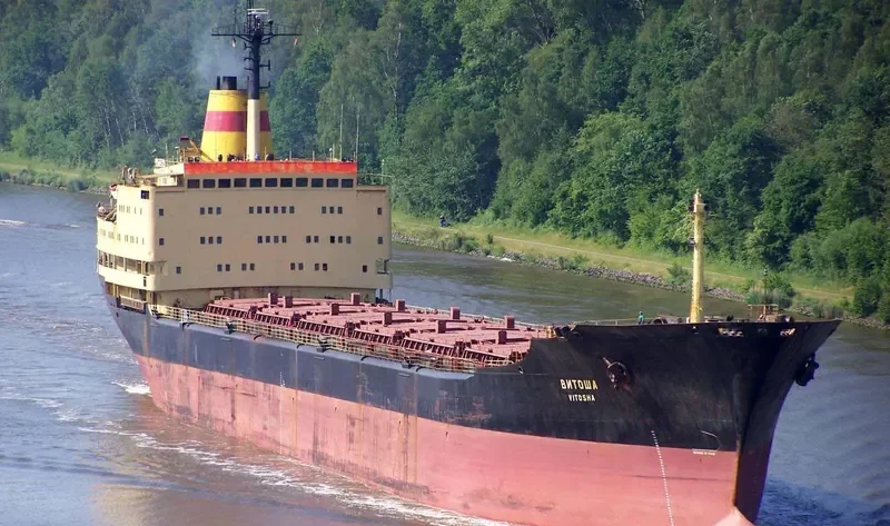 VITOSHA Bulk Carrier IMO 7615995 photo 3
