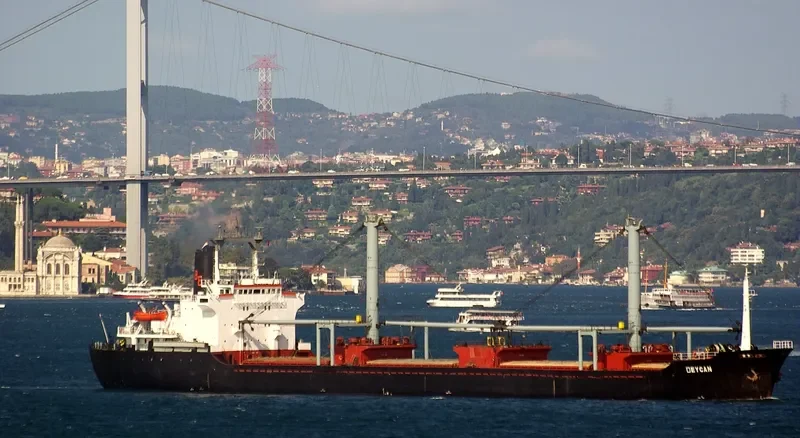 DEYCAN Bulk Carrier IMO 7616157 photo 7