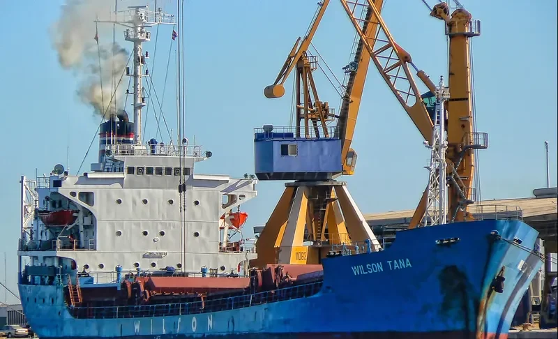 WILSON TANA General Cargo IMO 7616224 photo 2