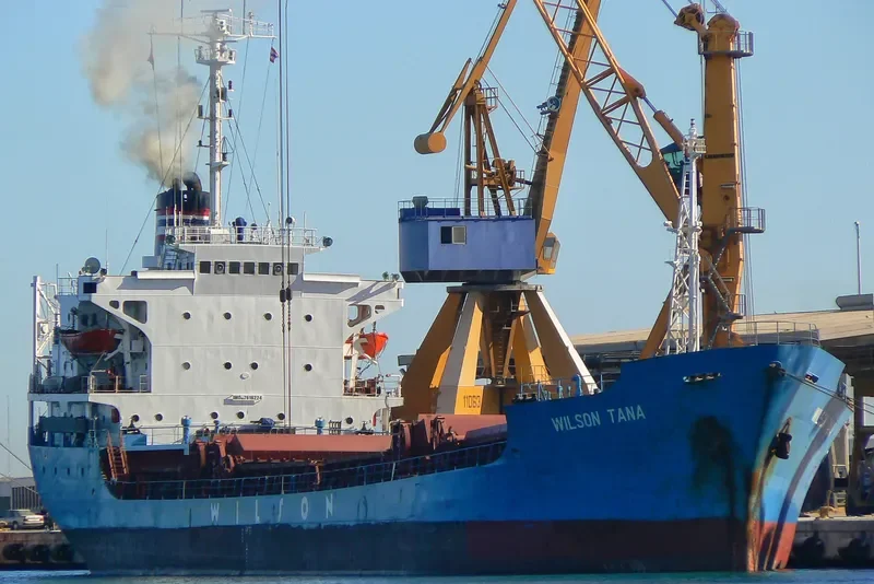 WILSON TANA General Cargo IMO 7616224 photo 5