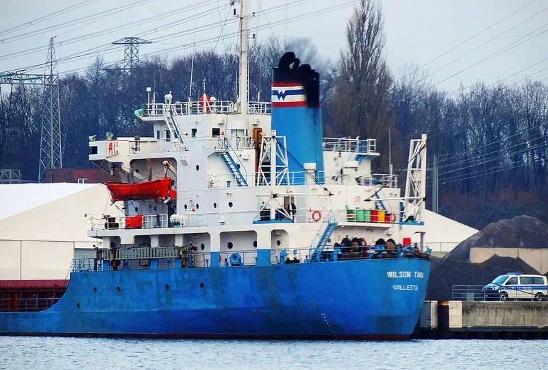 WILSON TANA General Cargo IMO 7616224 photo 8