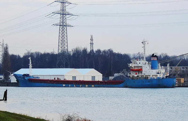 WILSON TANA General Cargo IMO 7616224 photo 9