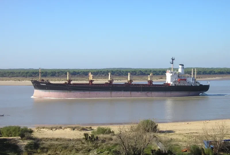 TENORA Bulk Carrier IMO 7616743