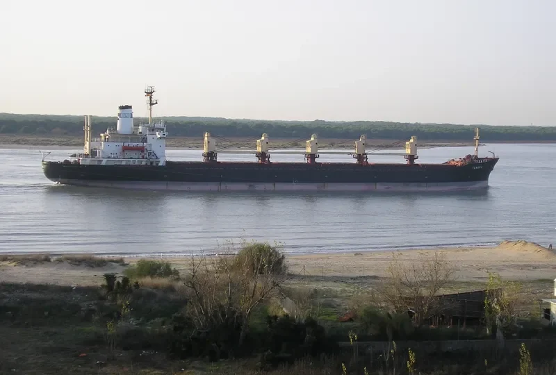 TENORA Bulk Carrier IMO 7616743 photo 2