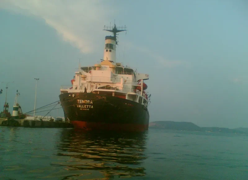 TENORA Bulk Carrier IMO 7616743 photo 3