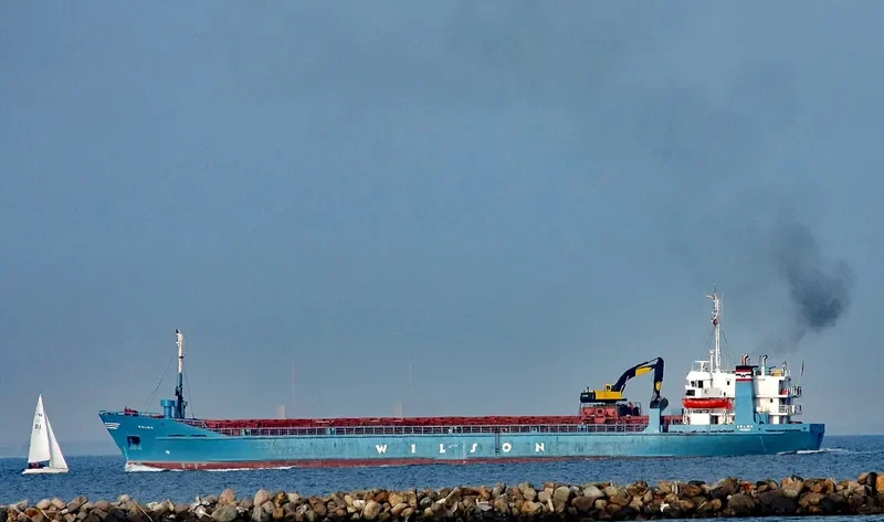 SALMO General Cargo IMO 7616858 photo 3
