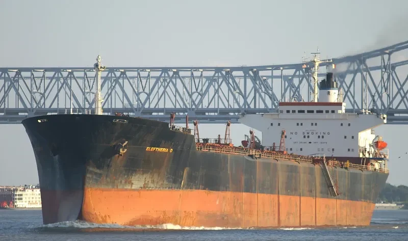 RIA Bulk Carrier IMO 7617204 photo 2