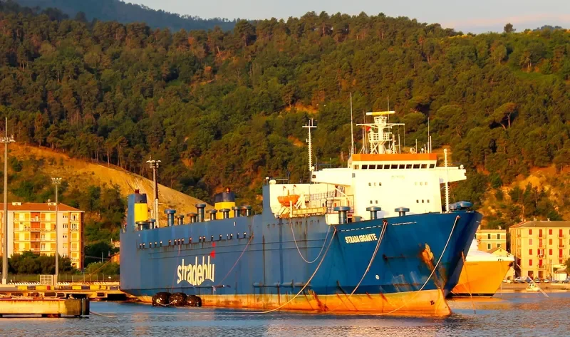 GIGANTE Ro-Ro IMO 7617735 photo 7